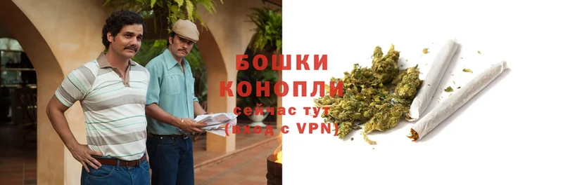 Бошки Шишки Ganja  Бор 